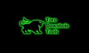 Toro Down Hole